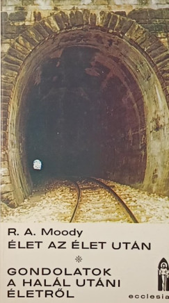 Raymond Avery Moody - Élet az élet után
