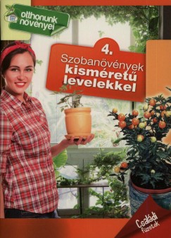 Szobanvnyek kismret levelekkel