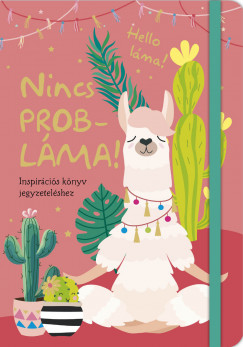Nincs problma!