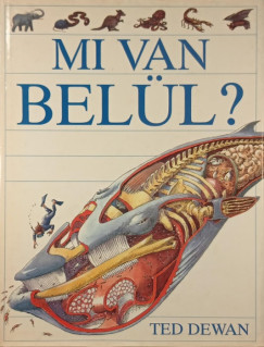 Ted Dewan - Mi van belül?