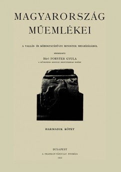 Br Forster Gyula  (Szerk.) - Magyarorszg memlkei III.