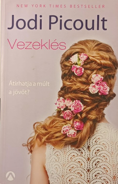 Jodi Picoult - Vezeklés