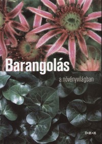 Molnr V. Attila - Barangols a nvnyvilgban