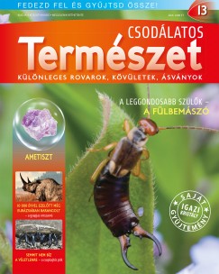 Csodlatos termszet 13.