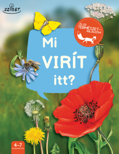 Mi virít itt?