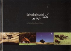 Udvarhelyszki mozaik - An Udvarhely County Mosaic