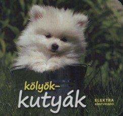 Rkai Andrs  (Szerk.) - Klykkutyk