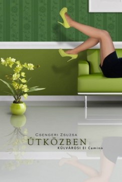 Csengeri Zsuzsa - tkzben - Klvrosi El Camino