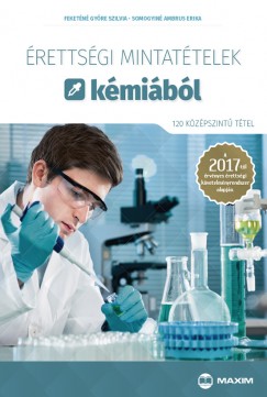 Feketn Gyre Szilvia - Somogyin Ambrus Erika - rettsgi mintattelek kmibl (120 kzpszint ttel)