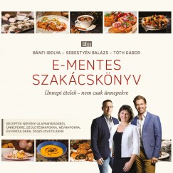 Bnfi Ibolya - Sebestyn Balzs - Tth Gbor - E-mentes szakcsknyv
