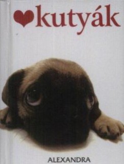Pam Brown - Kutyk