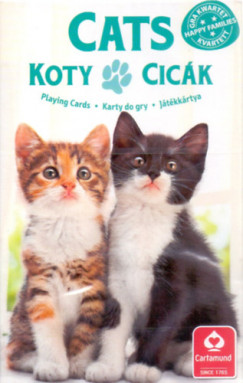 4 az 1-ben - Kedvenceink a cicák kártya