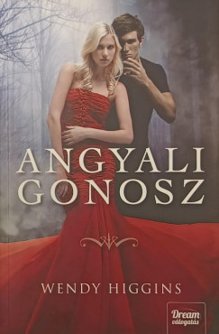 Wendy Higgins - Angyali gonosz