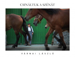 Vrnai Lszl - Csinltuk a sznt