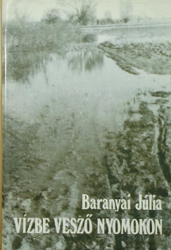 Baranyai Jlia - Vzbe vesz nyomokon
