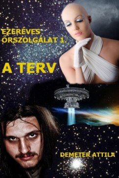 Demeter Attila - Ezerves rszolglat 1. - A terv