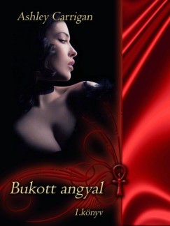 Ashley Carrigan - Bukott angyal