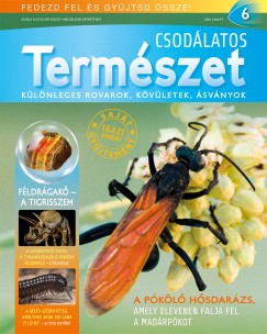Csodlatos termszet 6.