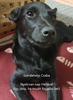 Szerdahelyi Csaba - Nyolcvan nap Hellval - gy jrsz, ha mudit fogadsz be!