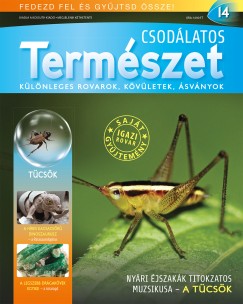 Csodlatos termszet 14.