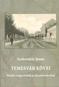 Szekernys Jnos - Temesvr kvei