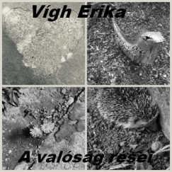 Vgh Erika - A valsg rsei - Novellk, egypercesek, versek