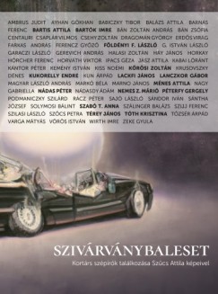Bazsnyi Sndor  (szerk.) - Szivrvnybaleset - Kortrs szprk tallkozsa Szcs Attila kpeivel