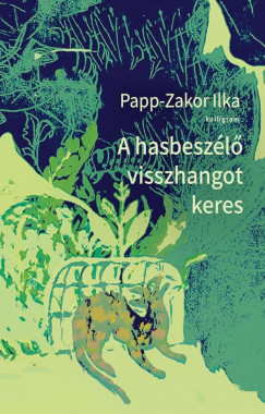 Papp-Zakor Ilka - A hasbeszl visszhangot keres