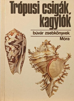 Podani János - Trópusi csigák, kagylók