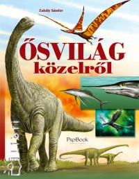 Zubly Sndor - svilg kzelrl