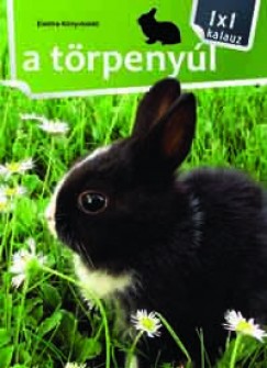 A trpenyl - 1x1 kalauz
