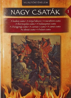 Jay Akhtar  (Szerk.) - Nagy csatk 1.