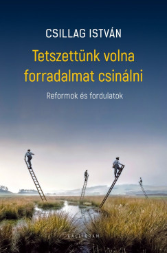 Csillag István - Tetszettünk volna forradalmat csinálni