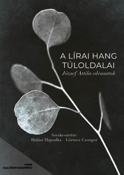 Halsz Hajnalka  (Szerk.) - Lrincz Csongor  (Szerk.) - A lrai hang tloldalai