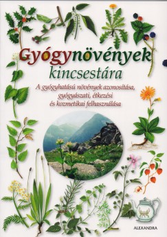 Gygynvnyek kincsestra