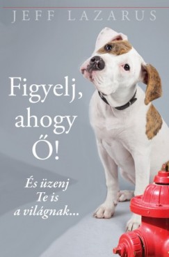 Jeff Lazarus - Figyelj, ahogy 
