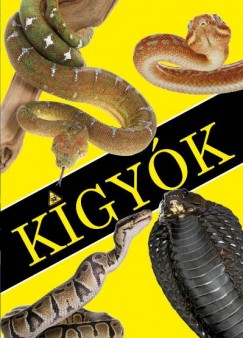 Krajnik Br Sra - Kgyk