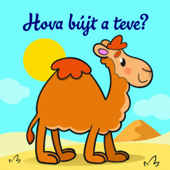 Hova bjt a teve? - llati kalandok - Szivacsknyv