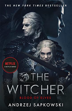 Andrzej Sapkowski - The Witcher - Blood of Elves
