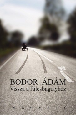 Bodor dm - Vissza a flesbagolyhoz