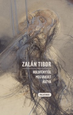 Zaln Tibor - Remnyi Jzsef Tams  (Szerk.) - Holdfnytl megvakult kutya