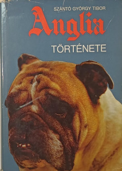 Szántó György Tibor - Anglia története