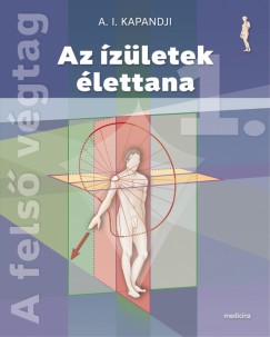A. I. Kapandji - Az zletek lettana 1-3. (6. kiads)