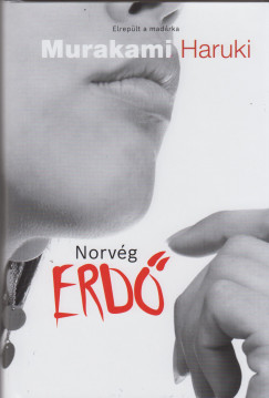 Murakami Haruki - Norvg erd