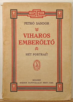 Pethő Sándor - Viharos emberöltő