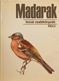 Keve András - Madarak