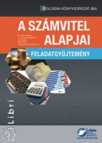 Baricz Rezs - Dr. Gyenge Magdolna - Jo gnes - Martin Kra - Reizingern Ducsai Anita - Szmvitel alapjai - Feladatgyjtemny