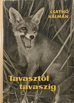 Csathó Kálmán - Tavasztól tavaszig