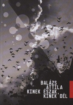 Balzs Attila - Remnyi Jzsef Tams  (Szerk.) - Kinek szak, kinek dl