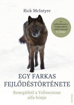 Rick McIntyre - Egy farkas fejl�d�st�rt�nete - Reneg�tb�l a Yellowstone alfa-h�mje